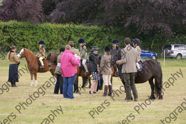 Leading Rein 11 
 NRCS Class 17 Leading Rein