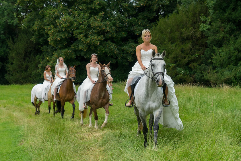 WWE Bridal Horse shoot 032 
 West Wycombe Horse shoot 
 Keywords: Buckinghamshire wedding photographer, Horses, Piers Photo, Summer, West Wycombe House