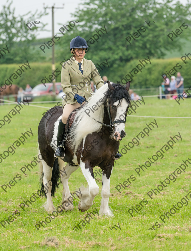 Ring 2 Afternoon 028 
 Naphill Riding Club Open Show 
 Keywords: Naphill Riding Club, Open Show, Equestrian, Piers Photography,
Bucks Wedding Photographer