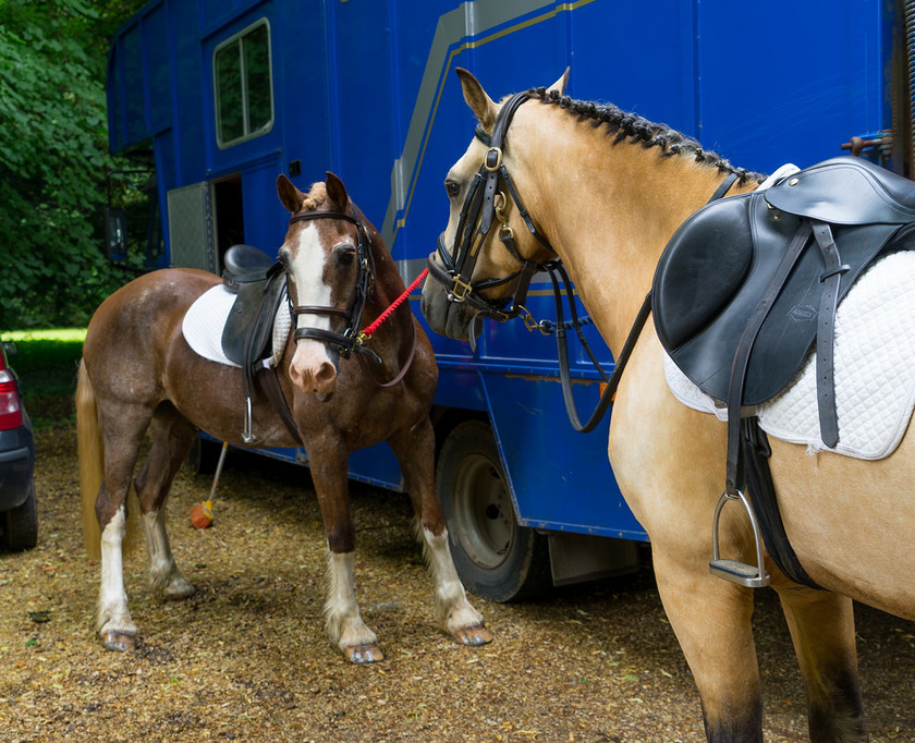 WWE Bridal BHS 013 
 West Wycombe Horse shoot 
 Keywords: Buckinghamshire wedding photographer, Horses, Piers Photo, Summer, West Wycombe House