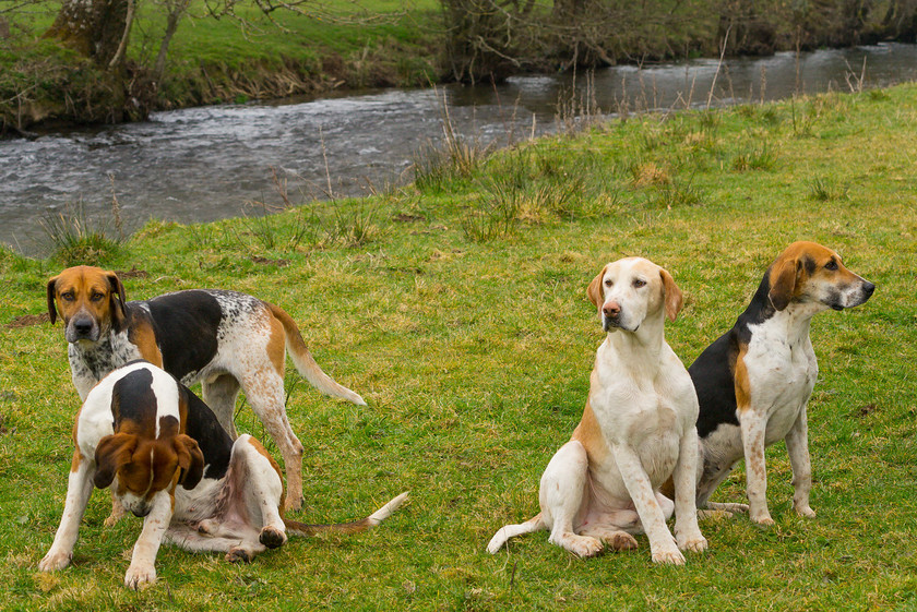 Hunting Exmoor 090 
 The Devon and Somerset Stag Hounds 
 Keywords: Buckingahmshire wedding photographer, Exmoor, Piers Photography, Withypool, the Devon and Somerset Stag Hounds