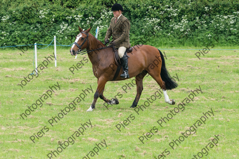 Ring 2 Afternoon 051 
 Naphill Riding Club Open Show 
 Keywords: Naphill Riding Club, Open Show, Equestrian, Piers Photography,
Bucks Wedding Photographer