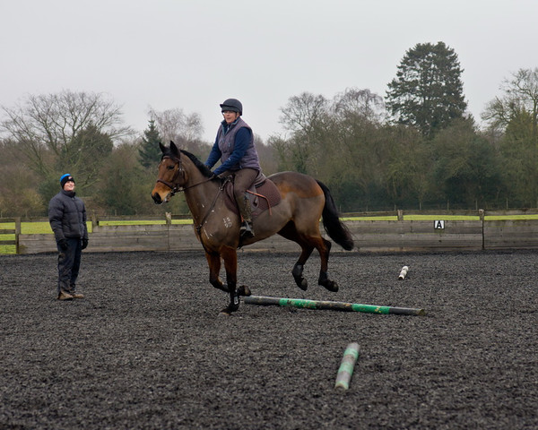 Ollie and Blyth Lesson 29 
 Ollie and Blyth Lesson 
 Keywords: Piers Photo, Moses Plat Yard, Ollie, Blyth, Mary Hilder, Jo Reynolds