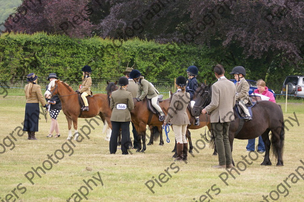 Leading Rein 10 
 NRCS Class 17 Leading Rein