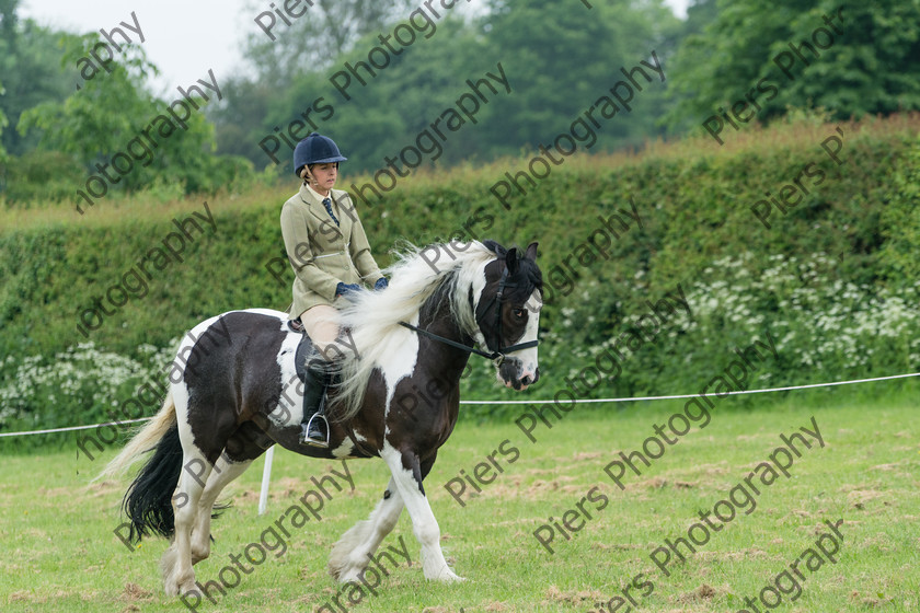 Ring 2 Afternoon 007 
 Naphill Riding Club Open Show 
 Keywords: Naphill Riding Club, Open Show, Equestrian, Piers Photography,
Bucks Wedding Photographer