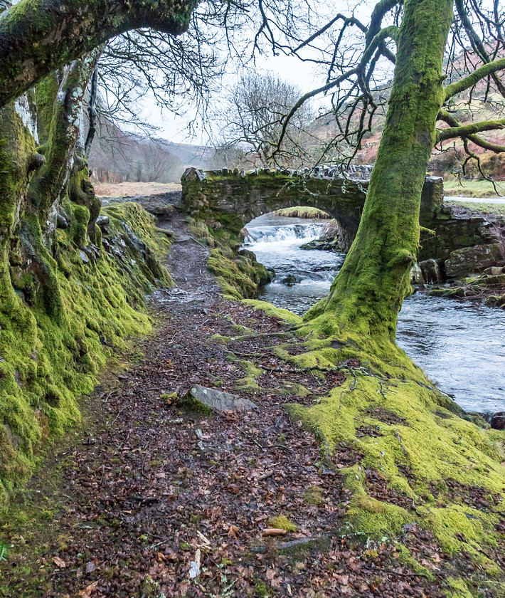 Exmoor 009 
 Exmoor 
 Keywords: Buckinghamshire wedding photographer, Exford, Exmoor, Piers Photography, Robbers Bridge