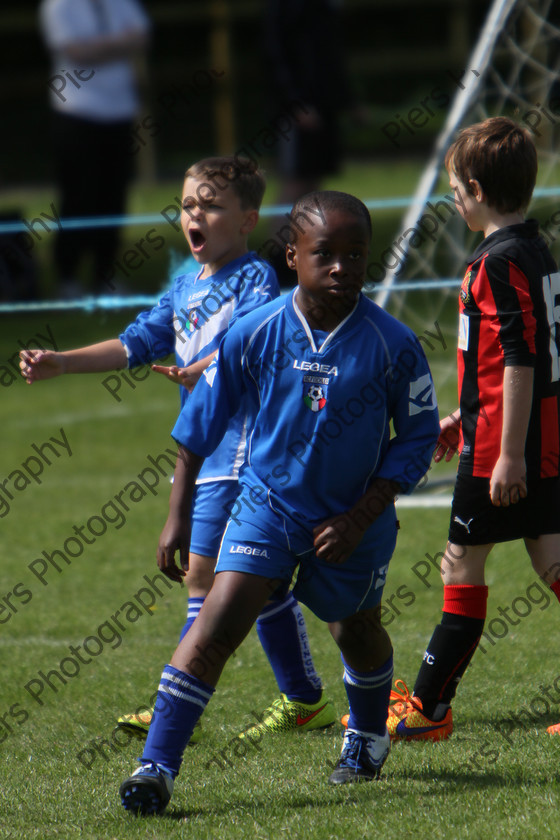 img 0461 
 Under 9s matches