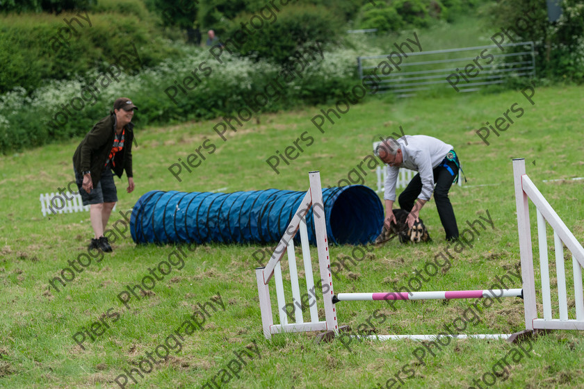 NRC Dog Show 058 
 Naphill Riding Club Open Show 
 Keywords: Naphill Riding Club, Open Show, Equestrian, Piers Photography, Bucks Wedding Photographer