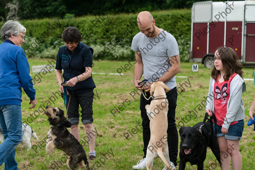 NRC Dog Show 022 
 Naphill Riding Club Open Show 
 Keywords: Naphill Riding Club, Open Show, Equestrian, Piers Photography, Bucks Wedding Photographer