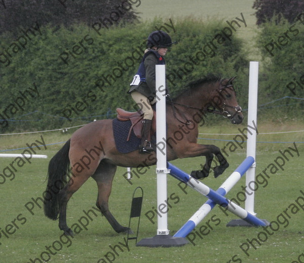 RS 4653 
 Naphill Riding Club Show July 2008