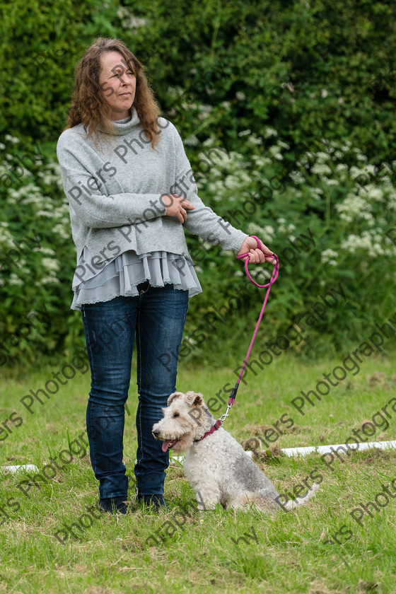 NRC Dog Show 039 
 Naphill Riding Club Open Show 
 Keywords: Naphill Riding Club, Open Show, Equestrian, Piers Photography, Bucks Wedding Photographer