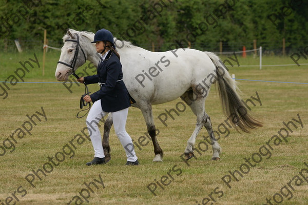 In Hnad Veteran Horse 22 
 NRCS Class 22 In Hand Veteran Horse