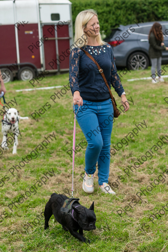 NRC Dog Show 033 
 Naphill Riding Club Open Show 
 Keywords: Naphill Riding Club, Open Show, Equestrian, Piers Photography, Bucks Wedding Photographer