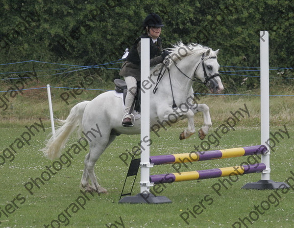 RS 4531 
 Naphill Riding Club Show July 2008