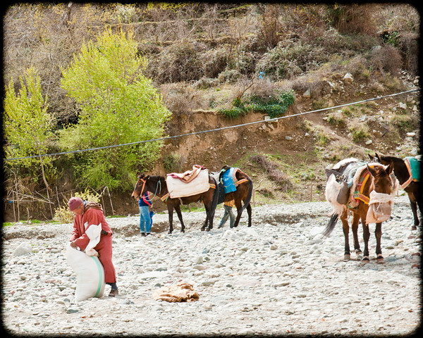 Atlas Mountains Trip 035 
 Keywords: Marrakesh, Morocco, Piers Photography