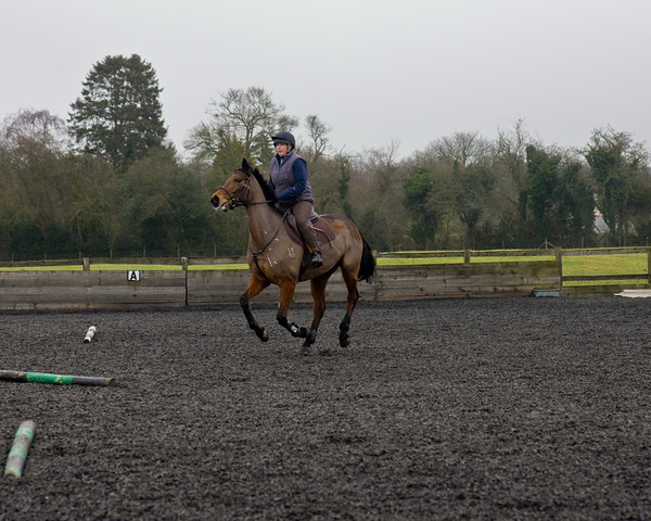 Ollie and Blyth Lesson 21 
 Ollie and Blyth Lesson 
 Keywords: Piers Photo, Moses Plat Yard, Ollie, Blyth, Mary Hilder, Jo Reynolds