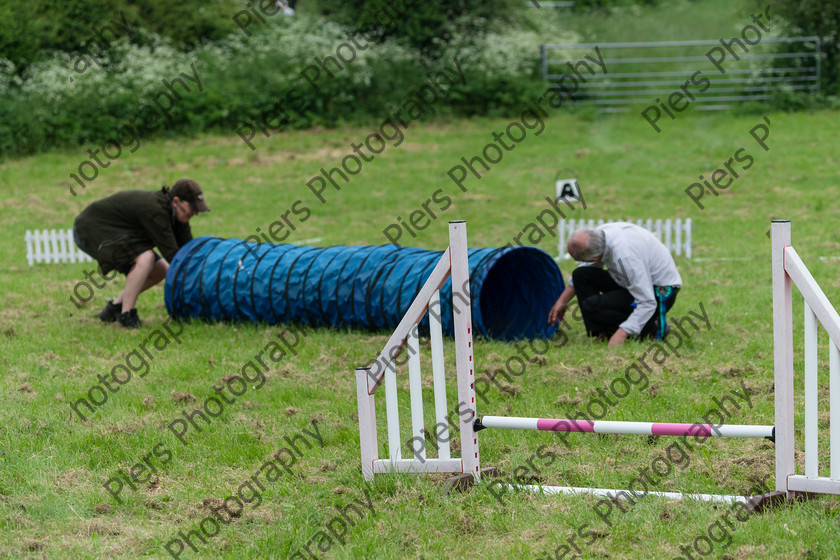 NRC Dog Show 057 
 Naphill Riding Club Open Show 
 Keywords: Naphill Riding Club, Open Show, Equestrian, Piers Photography, Bucks Wedding Photographer