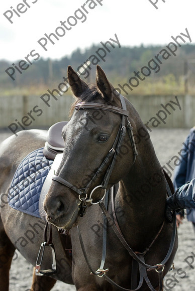 Class 1 01 
 SONY DSC 
 Keywords: Pyatts, Show jumping