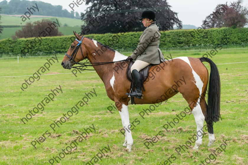 Ring 2 Afternoon 036 
 Naphill Riding Club Open Show 
 Keywords: Naphill Riding Club, Open Show, Equestrian, Piers Photography,
Bucks Wedding Photographer