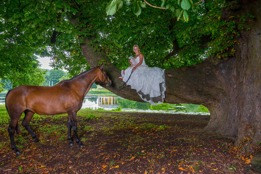 WWE Bridal tree 029 
 West Wycombe Horse shoot 
 Keywords: Buckinghamshire wedding photographer, Horses, Piers Photo, Summer, West Wycombe House