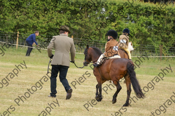 Leading Rein 14 
 NRCS Class 17 Leading Rein