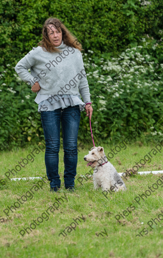 NRC Dog Show 049 
 Naphill Riding Club Open Show 
 Keywords: Naphill Riding Club, Open Show, Equestrian, Piers Photography, Bucks Wedding Photographer