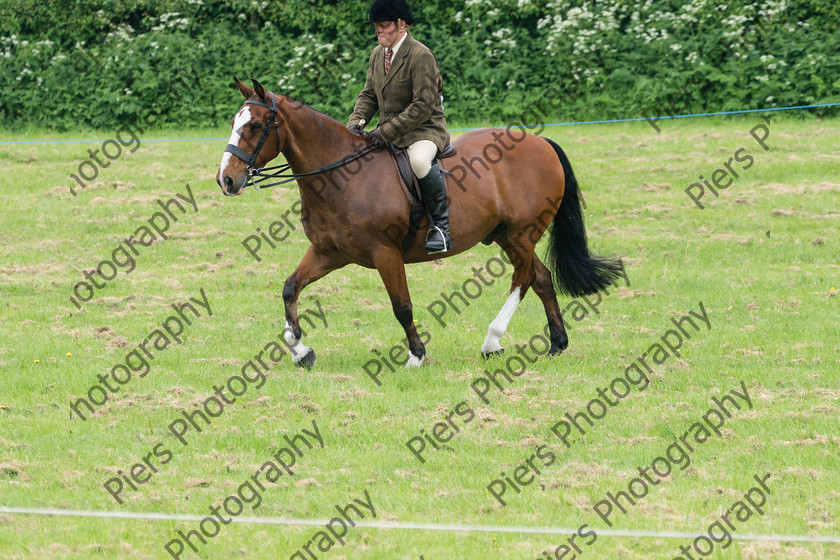 Ring 2 Afternoon 052 
 Naphill Riding Club Open Show 
 Keywords: Naphill Riding Club, Open Show, Equestrian, Piers Photography,
Bucks Wedding Photographer