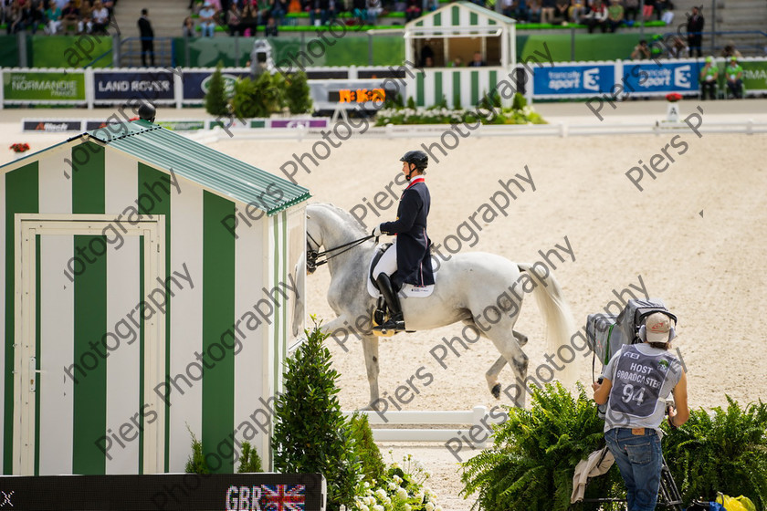 Freestle dressage WEG 017 
 WEG 2014 Freestyle dressage