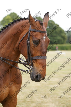 Ridden Hunter 018 
 NRCS Class 14 Ridden Hunter