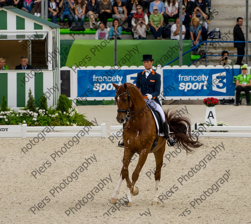 Freestle dressage WEG 052 
 WEG 2014 Freestyle dressage