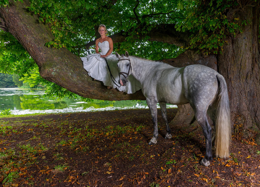 WWE Bridal tree 021 
 West Wycombe Horse shoot 
 Keywords: Buckinghamshire wedding photographer, Horses, Piers Photo, Summer, West Wycombe House