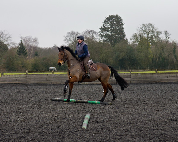 Ollie and Blyth Lesson 27 
 Ollie and Blyth Lesson 
 Keywords: Piers Photo, Moses Plat Yard, Ollie, Blyth, Mary Hilder, Jo Reynolds