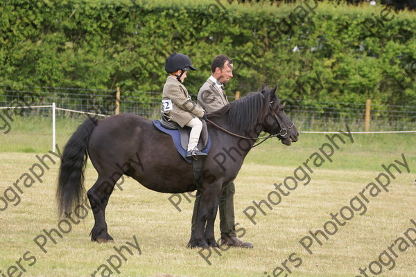 Leading Rein 03 
 NRCS Class 17 Leading Rein