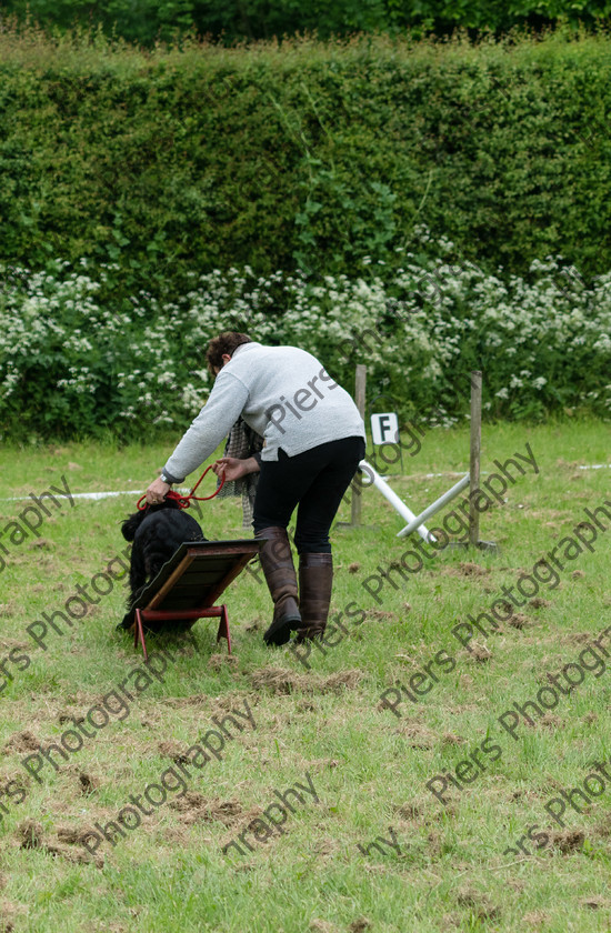 NRC Dog Show 070 
 Naphill Riding Club Open Show 
 Keywords: Naphill Riding Club, Open Show, Equestrian, Piers Photography, Bucks Wedding Photographer