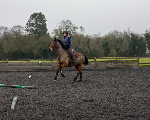 Ollie and Blyth Lesson 22 
 Ollie and Blyth Lesson 
 Keywords: Piers Photo, Moses Plat Yard, Ollie, Blyth, Mary Hilder, Jo Reynolds