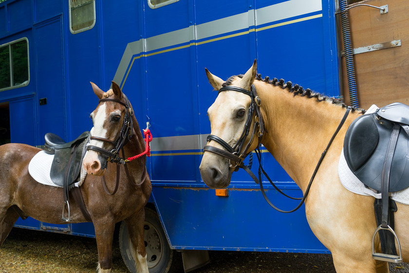 WWE Bridal BHS 014 
 West Wycombe Horse shoot 
 Keywords: Buckinghamshire wedding photographer, Horses, Piers Photo, Summer, West Wycombe House