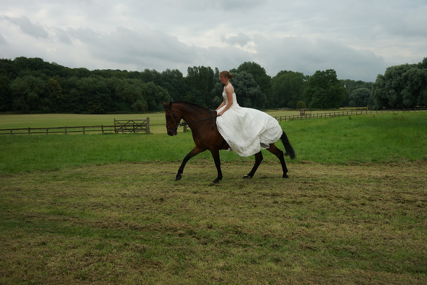 Alice Canter 034 
 West Wycombe Horse shoot 
 Keywords: Buckinghamshire wedding photographer, Horses, Piers Photo, Summer, West Wycombe House