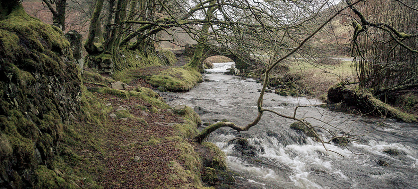 Exmoor 014 
 Exmoor 
 Keywords: Buckinghamshire wedding photographer, Exford, Exmoor, Piers Photography, Robbers Bridge