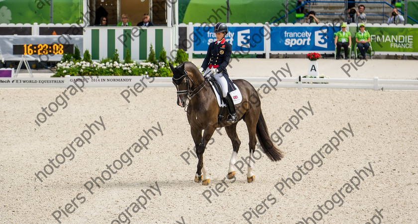 Freestle dressage WEG 040 
 WEG 2014 Freestyle dressage