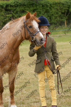 In Hnad Veteran Horse 25 
 NRCS Class 22 In Hand Veteran Horse