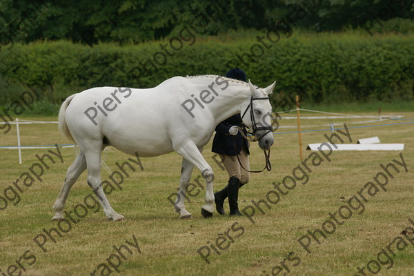 In Hnad Veteran Horse 01 
 NRCS Class 22 In Hand Veteran Horse