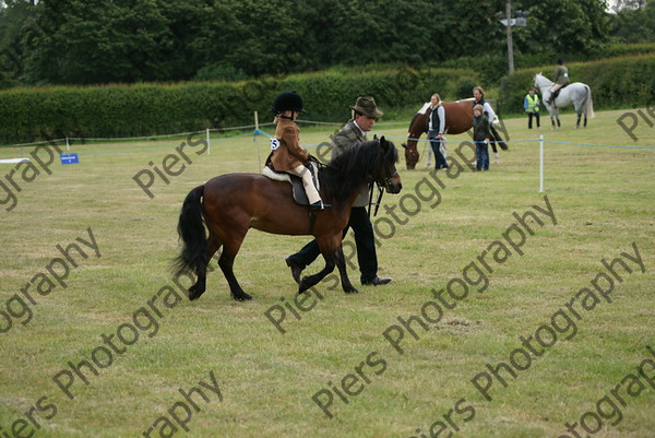 Leading Rein 31 
 NRCS Class 17 Leading Rein