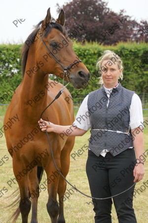 In Hnad Veteran Horse 27 
 NRCS Class 22 In Hand Veteran Horse