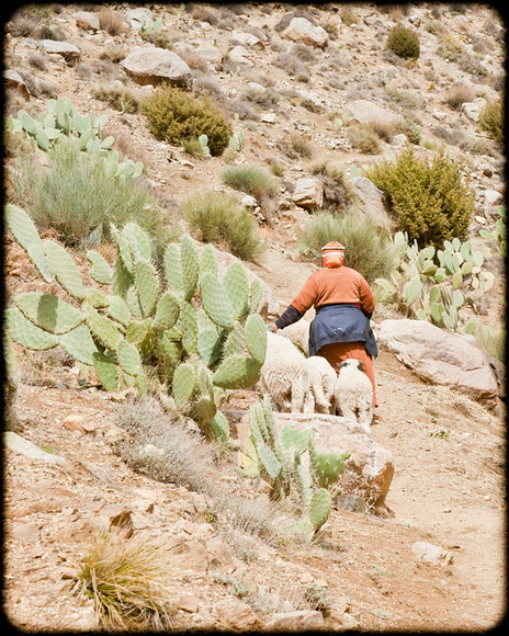 Atlas Mountains Trip 046 
 Keywords: Marrakesh, Morocco, Piers Photography