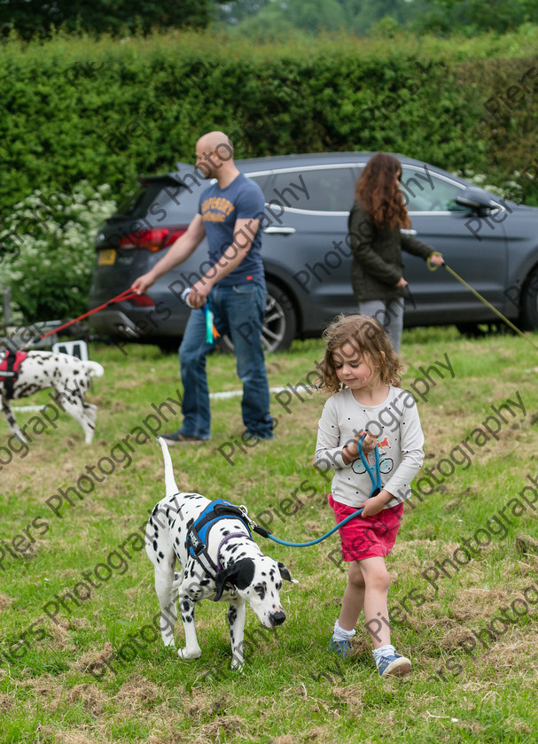 NRC Dog Show 031 
 Naphill Riding Club Open Show 
 Keywords: Naphill Riding Club, Open Show, Equestrian, Piers Photography, Bucks Wedding Photographer