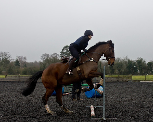 Ollie and Blyth Lesson 42 
 Ollie and Blyth Lesson 
 Keywords: Piers Photo, Moses Plat Yard, Ollie, Blyth, Mary Hilder, Jo Reynolds