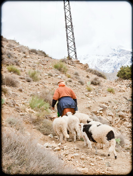 Atlas Mountains Trip 045 
 Keywords: Marrakesh, Morocco, Piers Photography