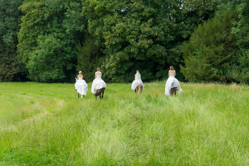 WWE Bridal Horse shoot 034 
 West Wycombe Horse shoot 
 Keywords: Buckinghamshire wedding photographer, Horses, Piers Photo, Summer, West Wycombe House