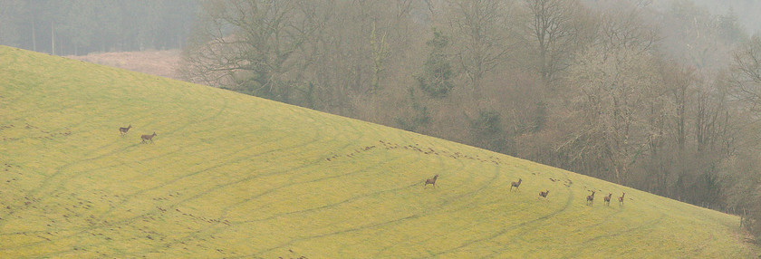 Hunting Exmoor 131 
 The Devon and Somerset Stag Hounds 
 Keywords: Buckingahmshire wedding photographer, Exmoor, Piers Photography, Withypool, the Devon and Somerset Stag Hounds