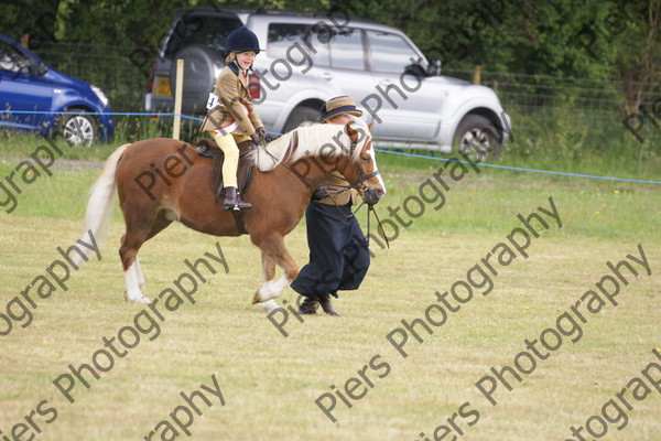 Leading Rein 16 
 NRCS Class 17 Leading Rein